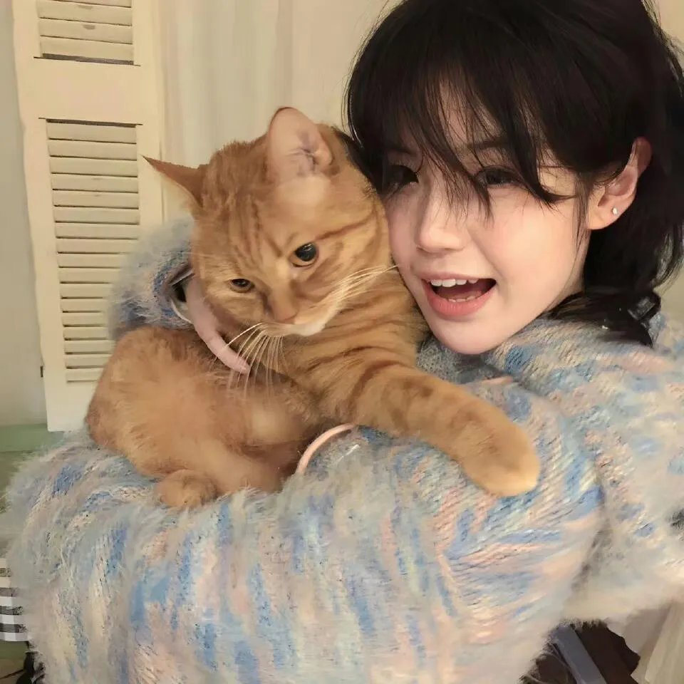 熊熊乐园第一部